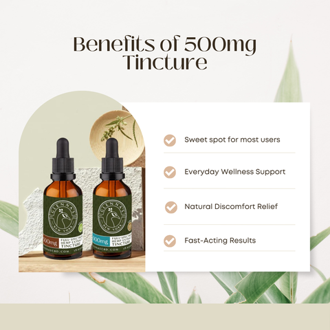 500MG Tinctures Glennas CBD